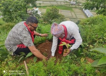 लायन्स क्लब अफ पोखरा इष्ट टाउनद्वारा वृक्षारोपण