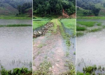 मैदी तालको डुबानबाट प्रभावित किसानहरु आन्दोलीत