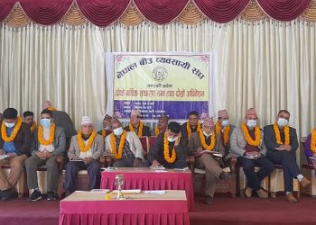 बिउ व्यवसायी संघ गण्डकीको अध्यक्षमा सुवेदी