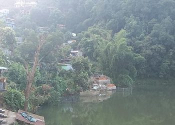 पोखरा ३१ का जनप्रतिनिधी ज्यु निदाउनु भएको हो ?