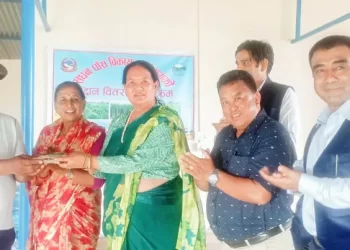 घाँसखेती उत्पादकलाई महानगरको प्रोत्साहन