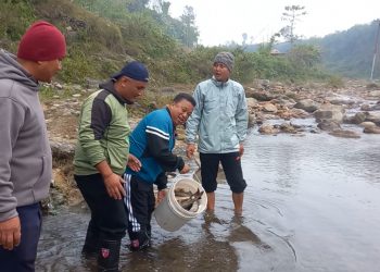 बगादी खोलामा ५ हजार माछाका भुरा छाडियो