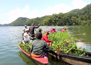 मत्स्य व्यवसायीहरुद्धारा बेगनासतालमा जलकुम्भी हटाउने अभियान शुरु