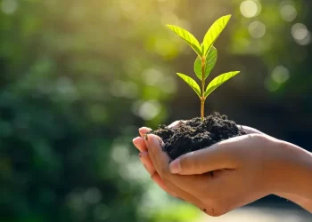 बुद्ध शान्ति सामुदायिक वनमा बृक्षारोपण