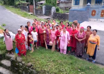 डेंगुका वारेमा सचेतना फैलाउदै जरुवा टोल विकास संस्था