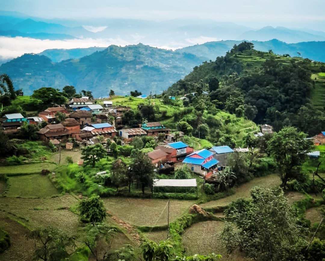 भुजिकोट